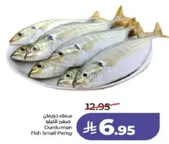 سمك دورمان صغير للكيلو