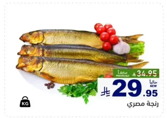زنجيه مصري.
