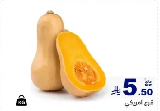 قرع امريكي