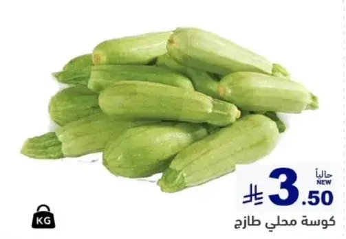 كوسه محلي طازج