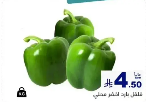 فلفل بارد اخضر محلي