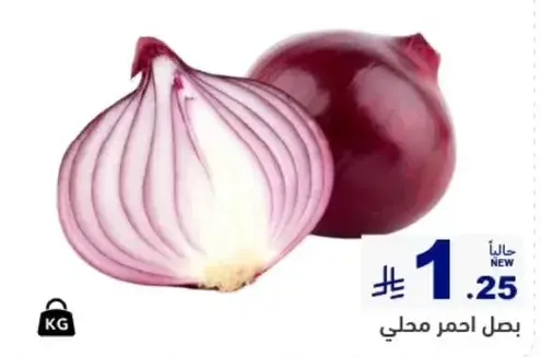 بصل احمر محلي