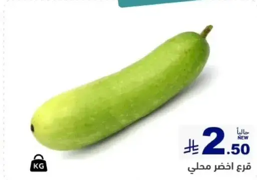 قرع اخضر محلي