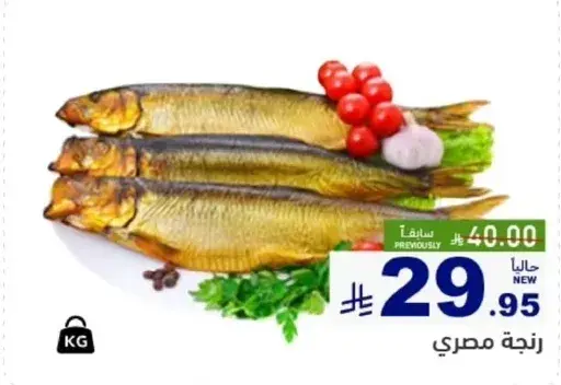 زنجا مصري.