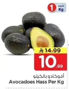 افوكادو هاس 1 كيلو