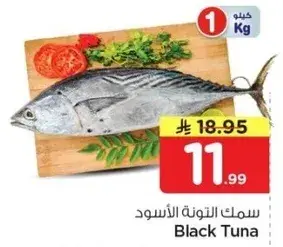 سمك التونه الاسود