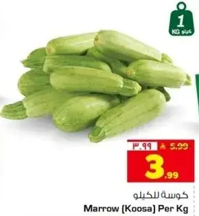 كوسه للكilo