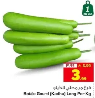 قرع مروحي للكilo