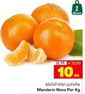 ماندارين نوفا للكيلو