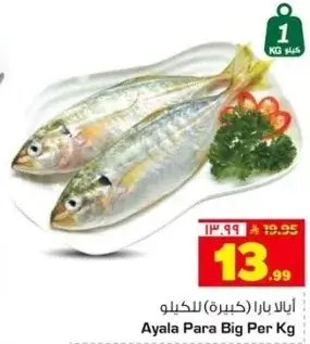 ايللا بارا (كبيره) للكيلو