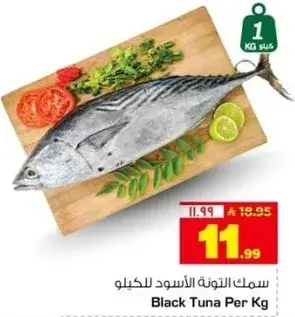 سمك التونه الاسود للكيلو
