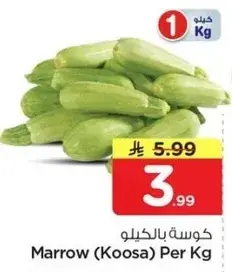 كوسه بالكيلو