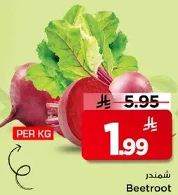 شمندر