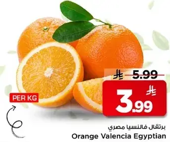 برتقال فانسيا مصري