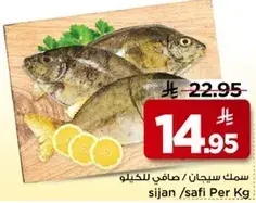 سمك سجان / صافي للكيلو