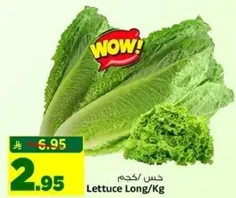 Lettuce Long/Kg