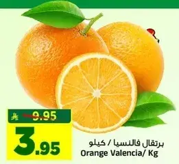 برتقال فالنسيا /كيلو