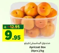 صندوق المشمش / كيلو