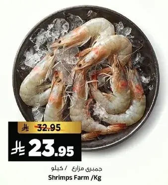 Shrimps Farm / Kg