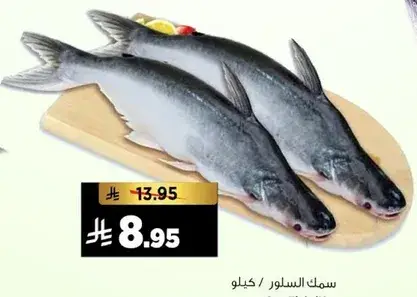 سمك السلور / كيلو