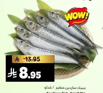 سمك ساردين صغير / كيلو