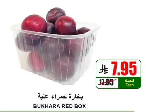 Bukhara red box
