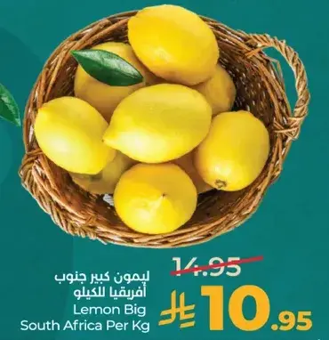 Lemon Big South Africa Per Kg