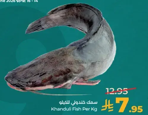 سمك خندولي للكيلو