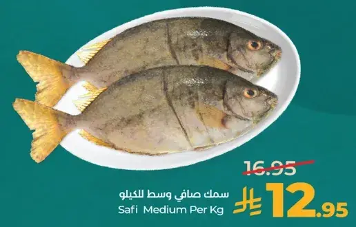 سمك صافي وسط للكيلو