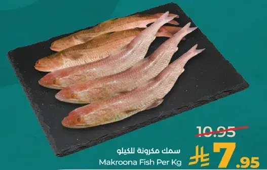 سمك مكرونه للكيلو