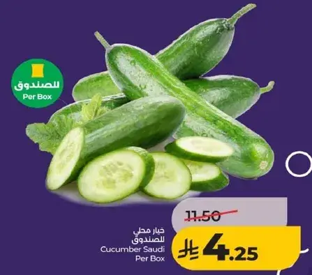 خيار سعودي للصندوق