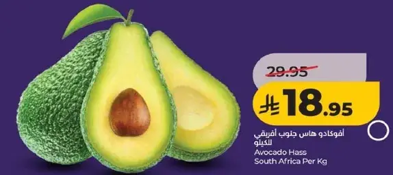 افوكادو هاس جنوب افريقي للكيلو