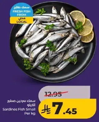 سمك سردين صغير للكيلو
