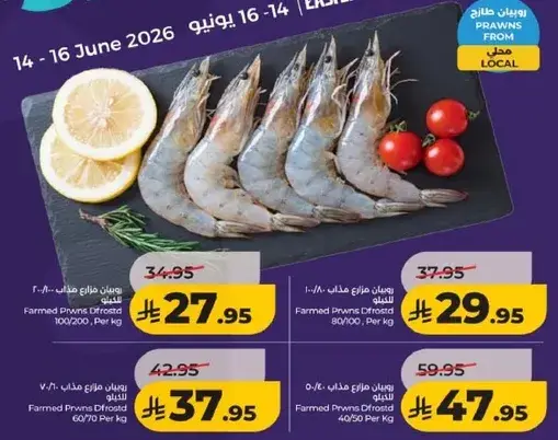 روبيان مزرعه مفرغ 100/200