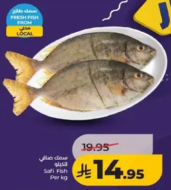 سمك صافي للكيلو