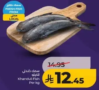 سمك خندلي للكيلو