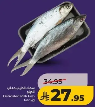 سمك الحليب مذاب للكيلو
