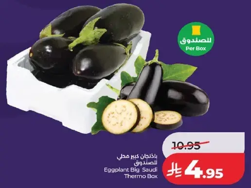 باذنجان كبير سعودي
