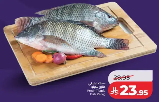 سمك البلطي طازج للكilo