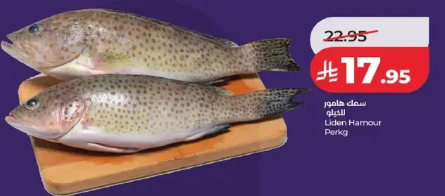 سمك هامور للكilo