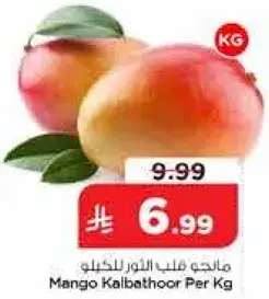 مانجو كالباثور للكilo