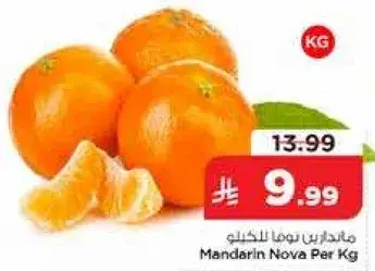 Mandarin Nova Per Kg
