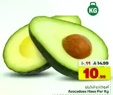 افوكادو هاس للكيلو