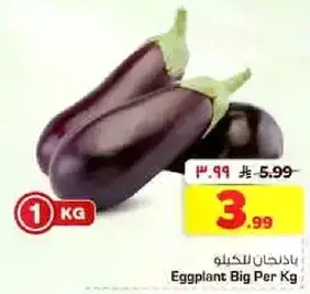 Eggplant Big Per Kg