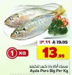 Ayala Para Big Per Kg