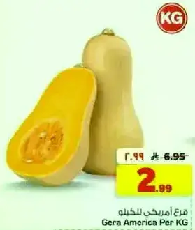 قرع امريكي للكيله