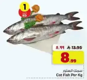 Cat Fish Per Kg