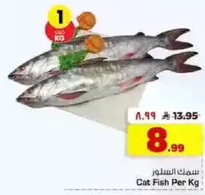 Cat Fish Per KG