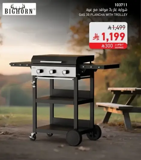 Gas grill with trolley and 3 burners.