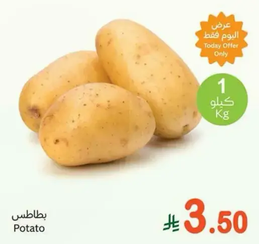 Potato